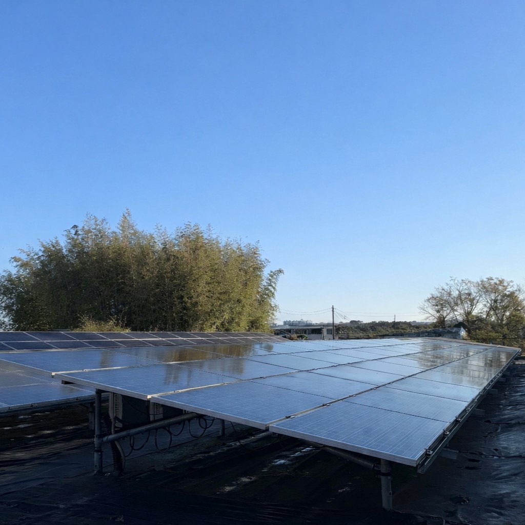 太陽光敷地管理